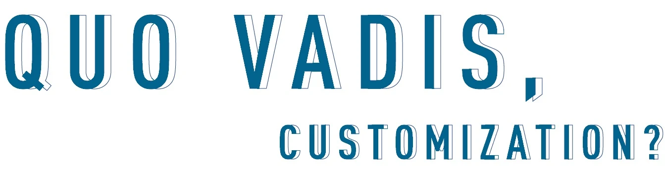 text "quo vadis, customization"