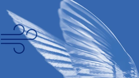 Fast as a hummingbird