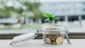 Glass with coins and a plant