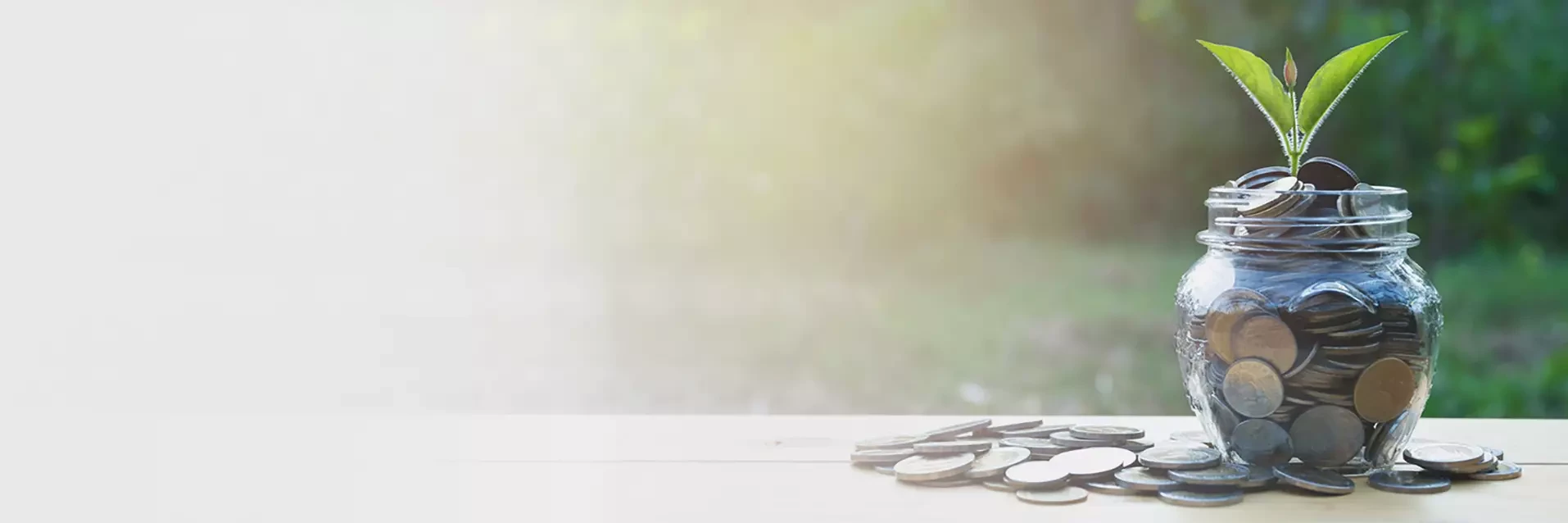 Glass with coins and a plant